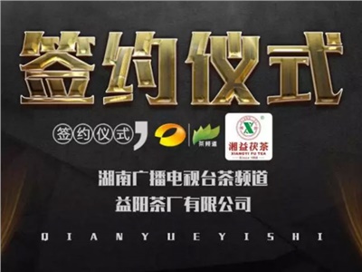 湘益茯，美茗揚(yáng) 丨湘益茯茶與茶頻道達(dá)成長期戰(zhàn)略合作