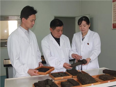 傳承茯茶非遺技藝、開拓創(chuàng)新引領(lǐng)行業(yè)發(fā)展