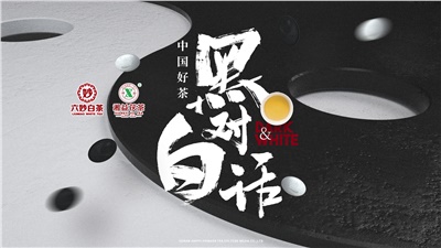 首屆黑白對話高峰論壇圓滿落幕！湘益茯茶備受關(guān)注！