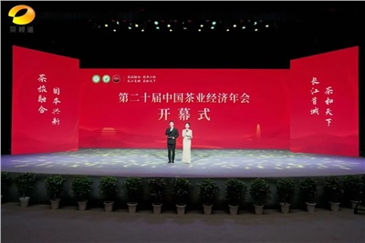 【聚焦第二十屆中國茶業(yè)經濟年會】益陽茶廠榮獲“民族團結互助企業(yè)”、“2024年度茶業(yè)重點企業(yè)”榮譽稱號